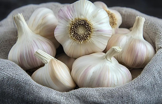 Fresh garlic
