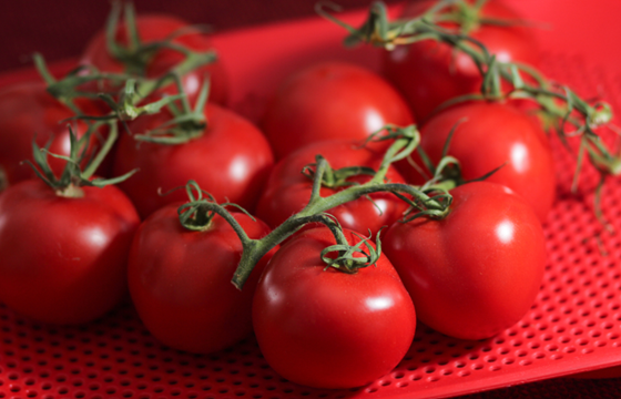 Import and Export of Vegetables