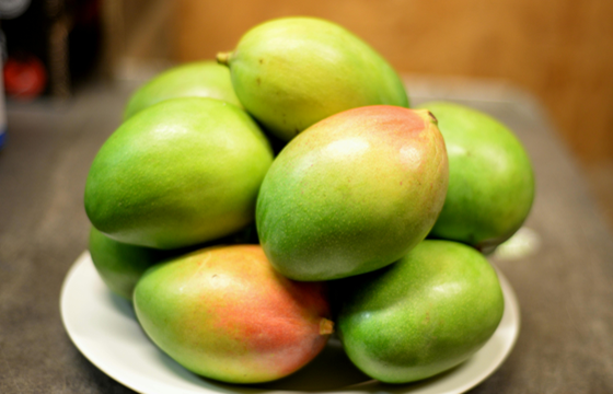 Mango Import and Export Merchant