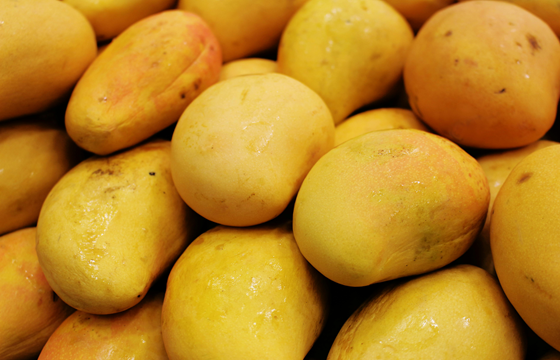 Mango exports