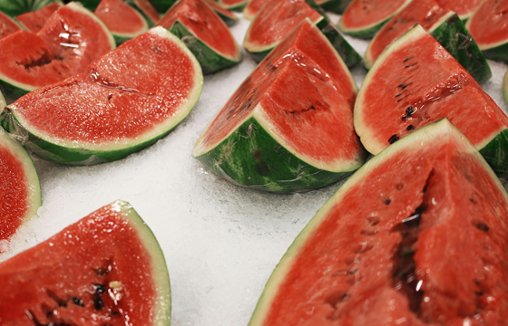 Watermelon Import and Export Manufacturers